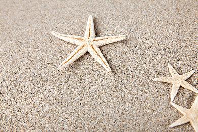 《尼尔：自动人形》“隐藏门”关卡可玩Mod现已推出